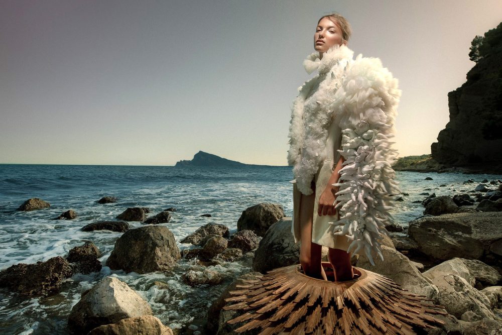 portfolio_content_seacreatures_01