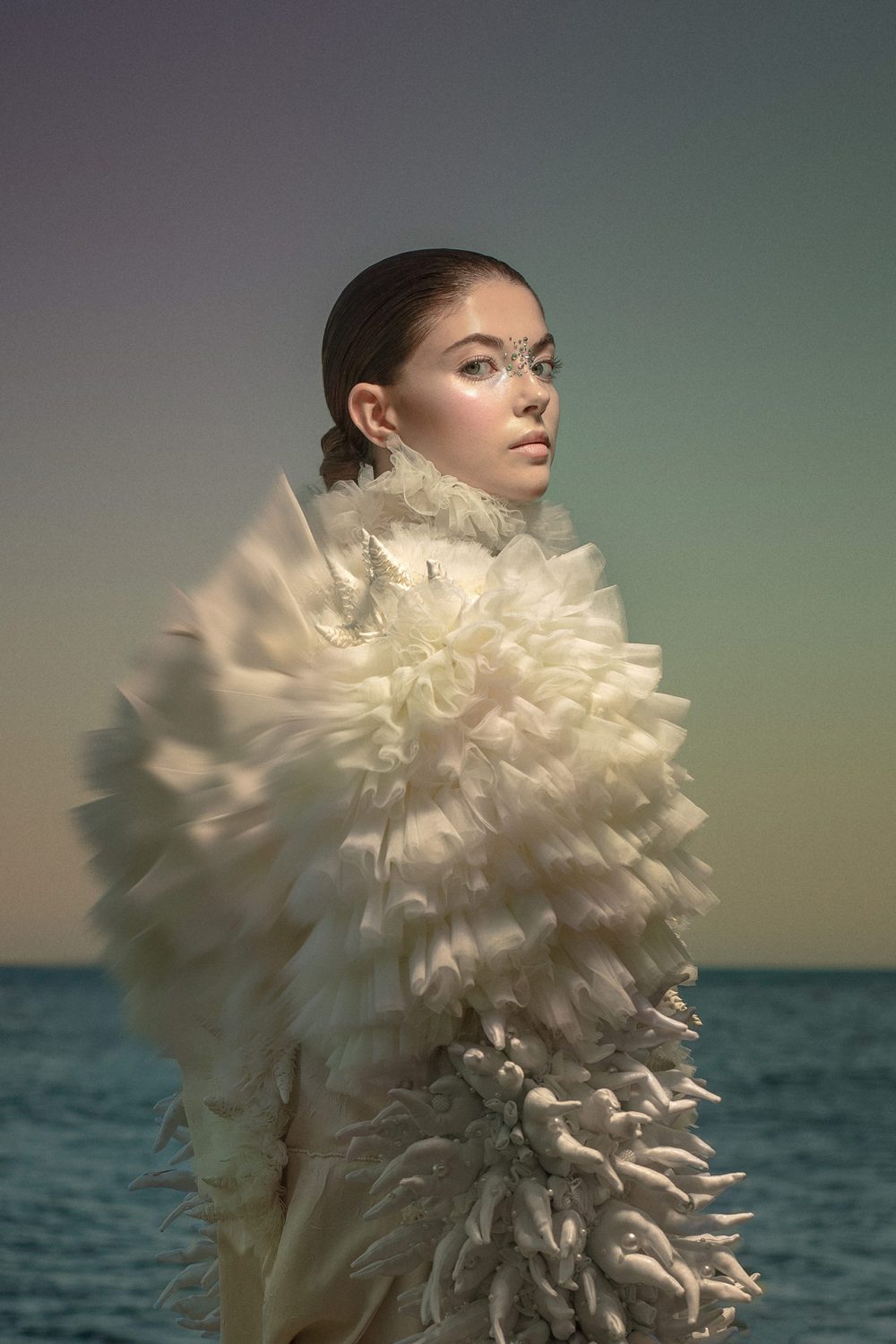 portfolio_content_seacreatures_05