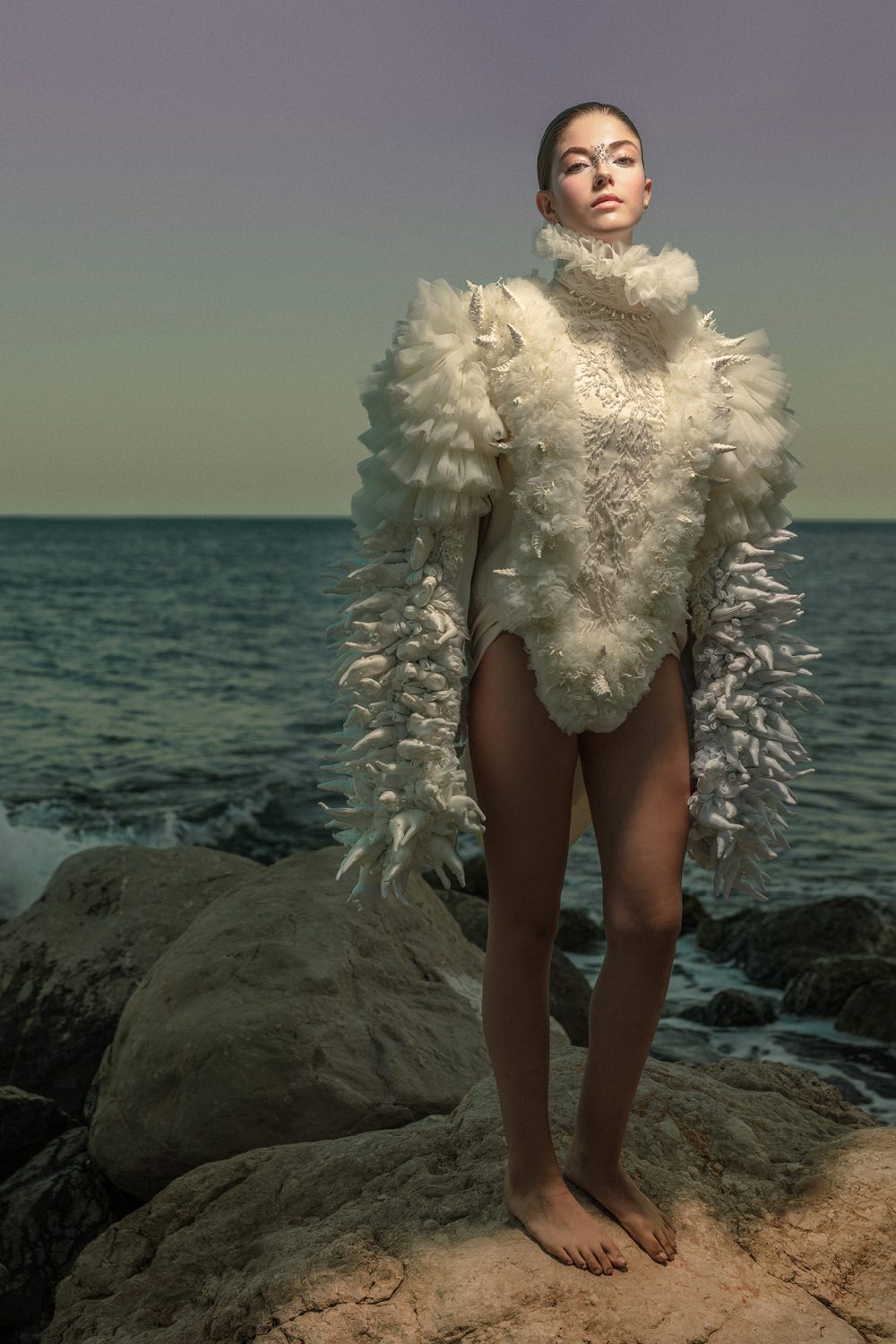 portfolio_content_seacreatures_06